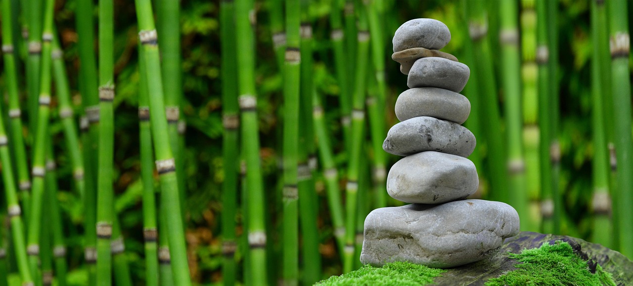 Zen tuinset met rake en witte zand.